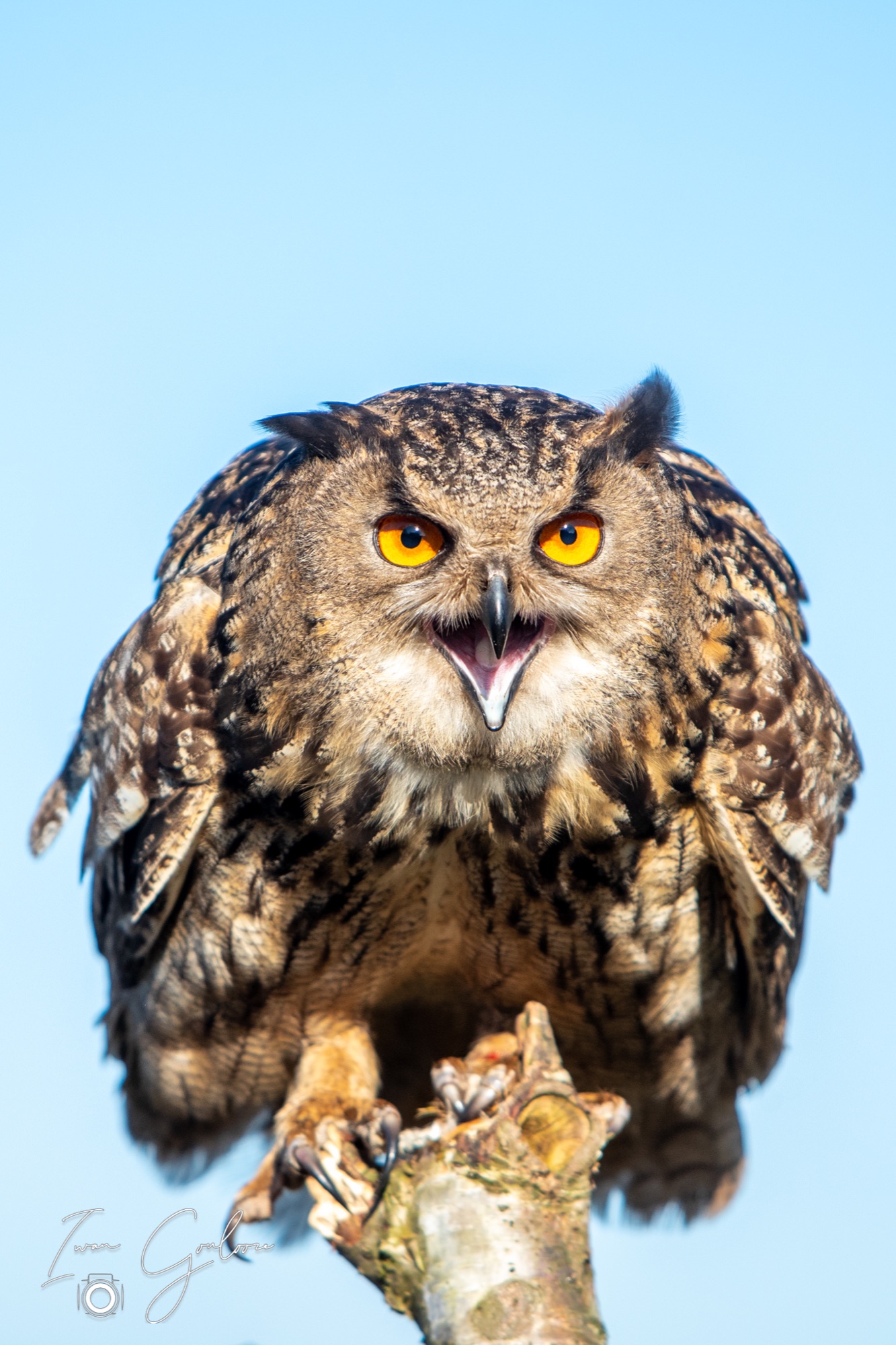 04 maart 2022 162325 1DX44374